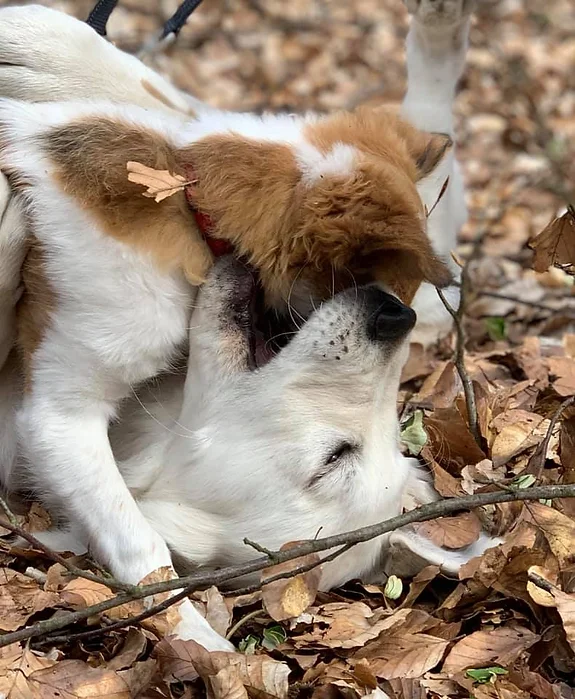 Enie und Pablo