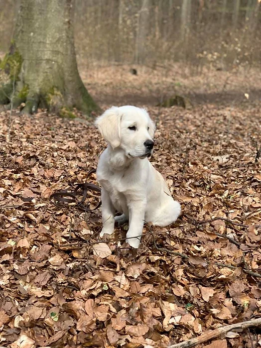 Pablo